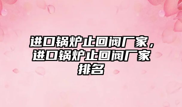 進口鍋爐止回閥廠家，進口鍋爐止回閥廠家排名