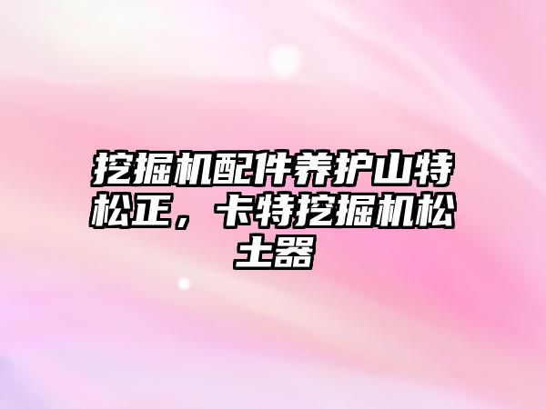 挖掘機配件養(yǎng)護山特松正，卡特挖掘機松土器