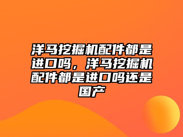 洋馬挖掘機配件都是進口嗎，洋馬挖掘機配件都是進口嗎還是國產(chǎn)