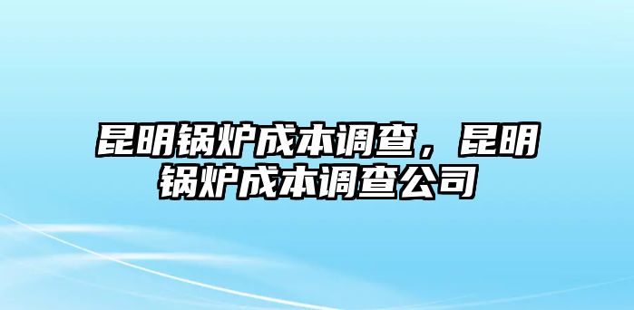 昆明鍋爐成本調(diào)查，昆明鍋爐成本調(diào)查公司