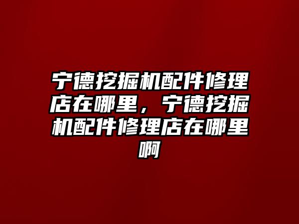 寧德挖掘機配件修理店在哪里，寧德挖掘機配件修理店在哪里啊