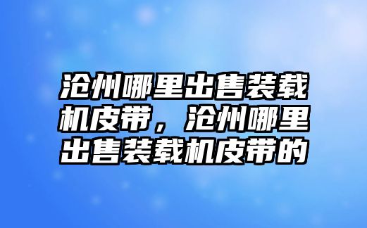 滄州哪里出售裝載機皮帶，滄州哪里出售裝載機皮帶的