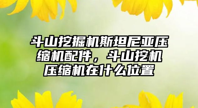 斗山挖掘機斯坦尼亞壓縮機配件，斗山挖機壓縮機在什么位置