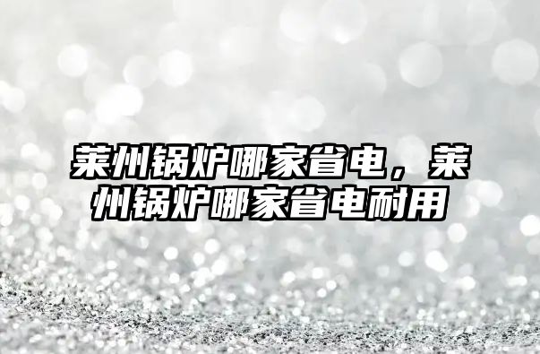 萊州鍋爐哪家省電，萊州鍋爐哪家省電耐用