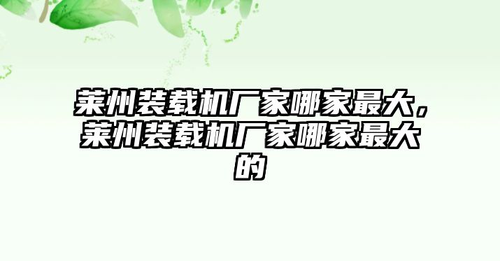 萊州裝載機(jī)廠家哪家最大，萊州裝載機(jī)廠家哪家最大的