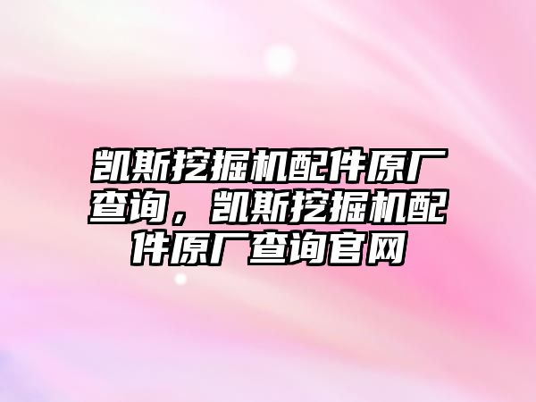 凱斯挖掘機(jī)配件原廠查詢，凱斯挖掘機(jī)配件原廠查詢官網(wǎng)