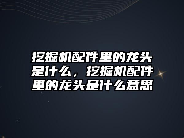 挖掘機配件里的龍頭是什么，挖掘機配件里的龍頭是什么意思