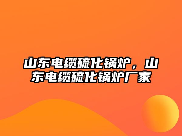 山東電纜硫化鍋爐，山東電纜硫化鍋爐廠家