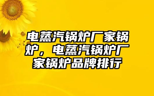 電蒸汽鍋爐廠家鍋爐，電蒸汽鍋爐廠家鍋爐品牌排行