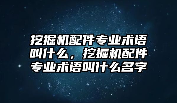 挖掘機(jī)配件專業(yè)術(shù)語叫什么，挖掘機(jī)配件專業(yè)術(shù)語叫什么名字