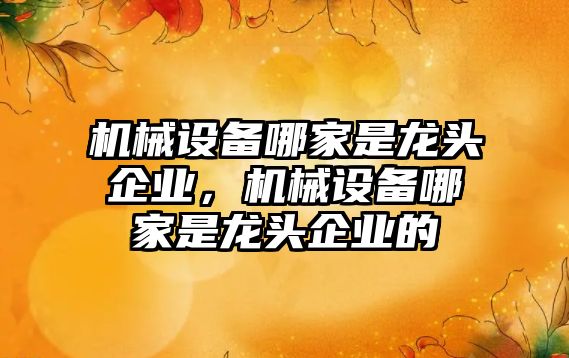 機械設備哪家是龍頭企業(yè)，機械設備哪家是龍頭企業(yè)的