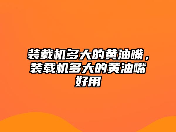 裝載機多大的黃油嘴，裝載機多大的黃油嘴好用