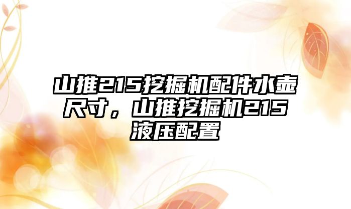 山推215挖掘機配件水壺尺寸，山推挖掘機215液壓配置