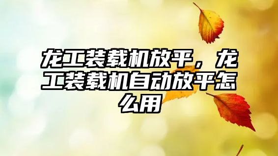 龍工裝載機放平，龍工裝載機自動放平怎么用