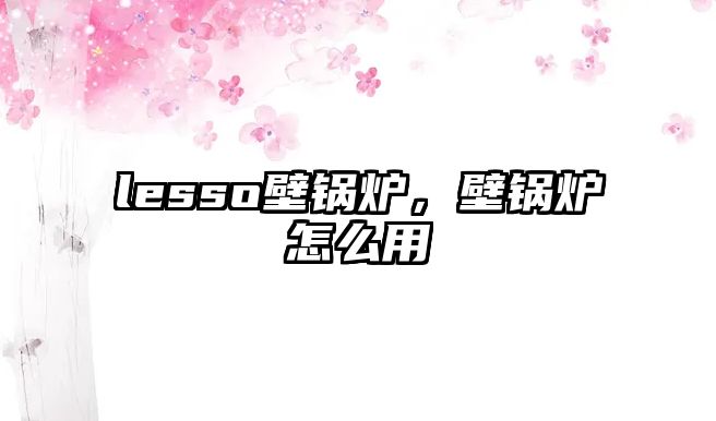 lesso壁鍋爐，壁鍋爐怎么用