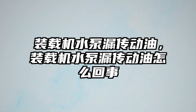 裝載機水泵漏傳動油，裝載機水泵漏傳動油怎么回事