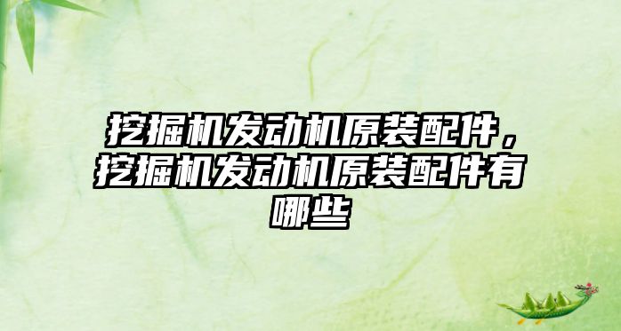 挖掘機發(fā)動機原裝配件，挖掘機發(fā)動機原裝配件有哪些