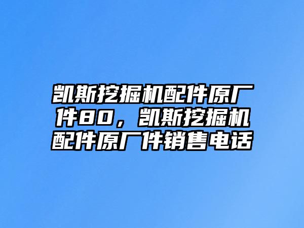 凱斯挖掘機(jī)配件原廠件80，凱斯挖掘機(jī)配件原廠件銷售電話