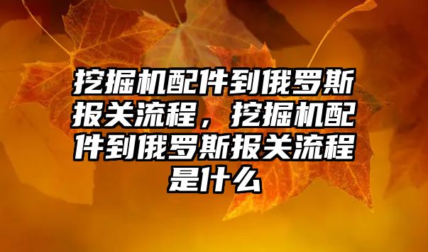 挖掘機配件到俄羅斯報關(guān)流程，挖掘機配件到俄羅斯報關(guān)流程是什么