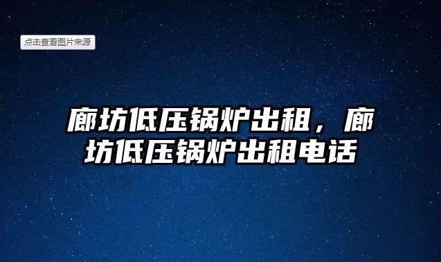 廊坊低壓鍋爐出租，廊坊低壓鍋爐出租電話