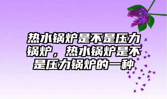 熱水鍋爐是不是壓力鍋爐，熱水鍋爐是不是壓力鍋爐的一種