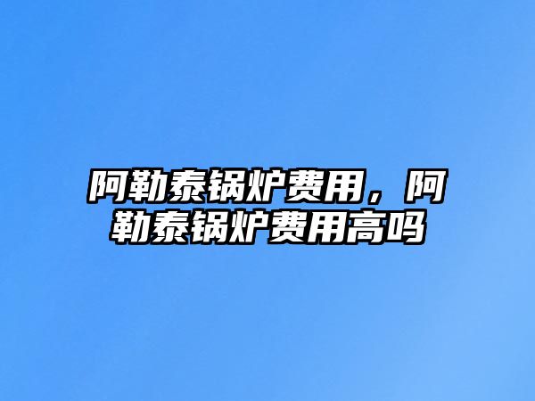 阿勒泰鍋爐費用，阿勒泰鍋爐費用高嗎