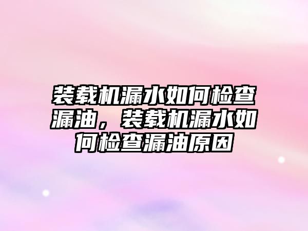 裝載機(jī)漏水如何檢查漏油，裝載機(jī)漏水如何檢查漏油原因