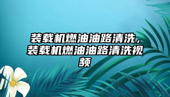 裝載機燃油油路清洗，裝載機燃油油路清洗視頻