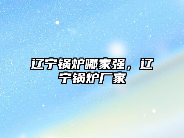 遼寧鍋爐哪家強(qiáng)，遼寧鍋爐廠家