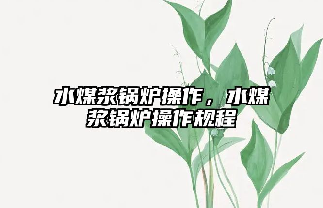 水煤漿鍋爐操作，水煤漿鍋爐操作規(guī)程