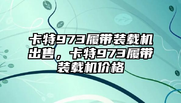 卡特973履帶裝載機(jī)出售，卡特973履帶裝載機(jī)價(jià)格