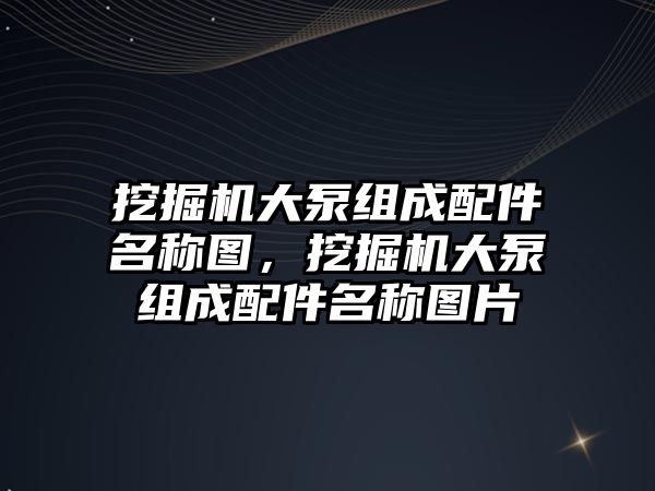 挖掘機(jī)大泵組成配件名稱圖，挖掘機(jī)大泵組成配件名稱圖片