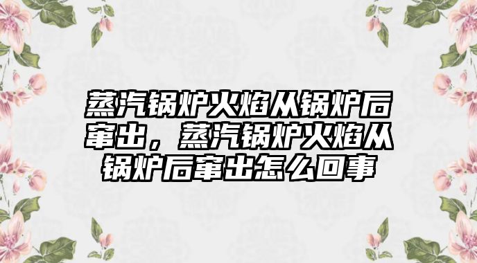 蒸汽鍋爐火焰從鍋爐后竄出，蒸汽鍋爐火焰從鍋爐后竄出怎么回事