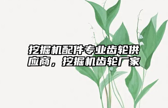 挖掘機配件專業(yè)齒輪供應(yīng)商，挖掘機齒輪廠家