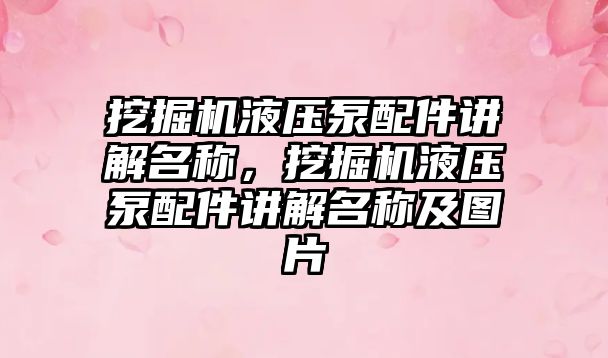 挖掘機液壓泵配件講解名稱，挖掘機液壓泵配件講解名稱及圖片