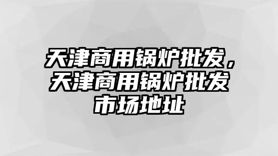 天津商用鍋爐批發(fā)，天津商用鍋爐批發(fā)市場(chǎng)地址