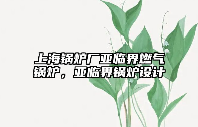 上海鍋爐廠亞臨界燃?xì)忮仩t，亞臨界鍋爐設(shè)計(jì)