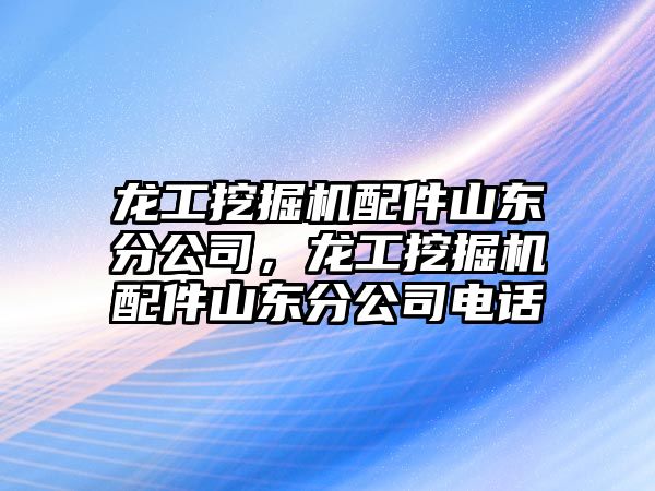 龍工挖掘機配件山東分公司，龍工挖掘機配件山東分公司電話