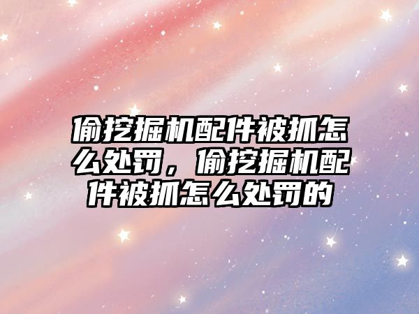 偷挖掘機配件被抓怎么處罰，偷挖掘機配件被抓怎么處罰的