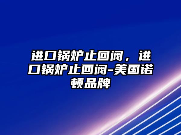 進(jìn)口鍋爐止回閥，進(jìn)口鍋爐止回閥-美國諾頓品牌