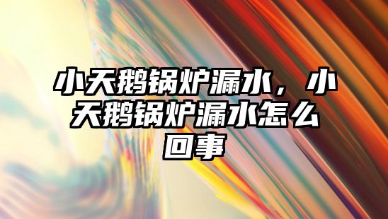 小天鵝鍋爐漏水，小天鵝鍋爐漏水怎么回事