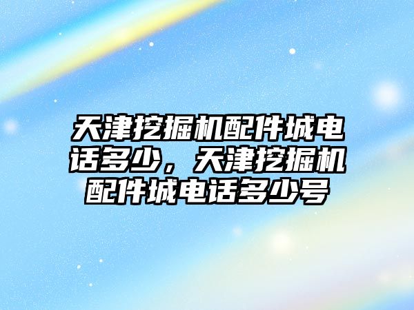 天津挖掘機配件城電話多少，天津挖掘機配件城電話多少號