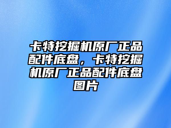 卡特挖掘機(jī)原廠正品配件底盤，卡特挖掘機(jī)原廠正品配件底盤圖片