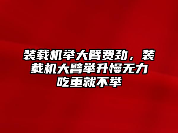 裝載機舉大臂費勁，裝載機大臂舉升慢無力吃重就不舉