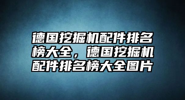 德國挖掘機(jī)配件排名榜大全，德國挖掘機(jī)配件排名榜大全圖片