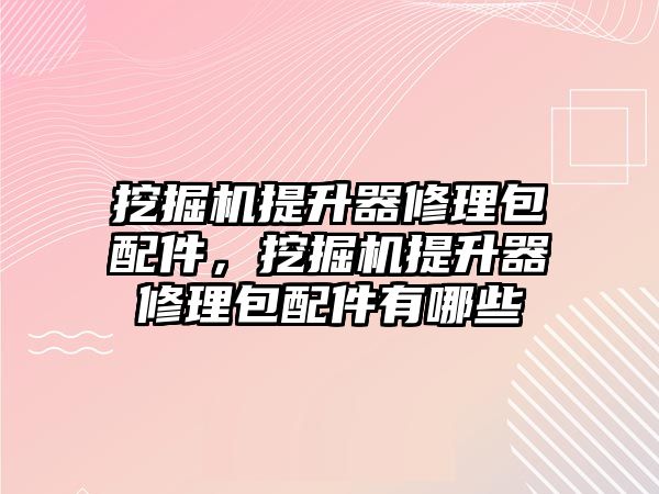 挖掘機提升器修理包配件，挖掘機提升器修理包配件有哪些