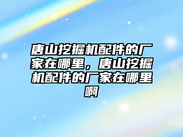 唐山挖掘機配件的廠家在哪里，唐山挖掘機配件的廠家在哪里啊