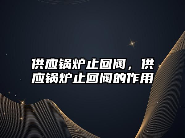 供應(yīng)鍋爐止回閥，供應(yīng)鍋爐止回閥的作用