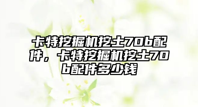 卡特挖掘機(jī)挖土70b配件，卡特挖掘機(jī)挖土70b配件多少錢