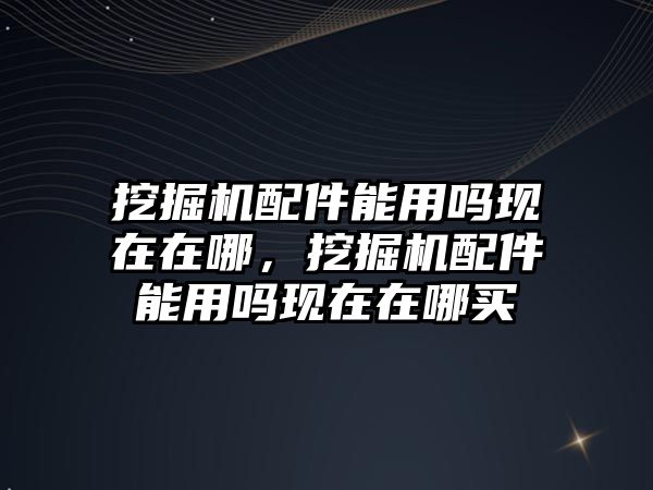 挖掘機配件能用嗎現(xiàn)在在哪，挖掘機配件能用嗎現(xiàn)在在哪買